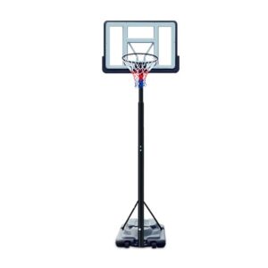 Aro basketball ajustable dennis rodman
