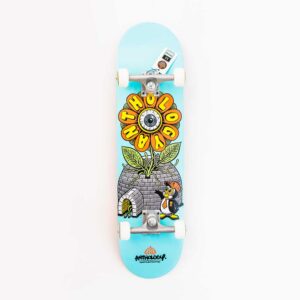 Skateboard anthology diseño igloo