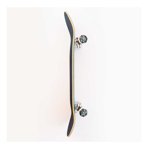 Skateboard anthology con diseño de puma