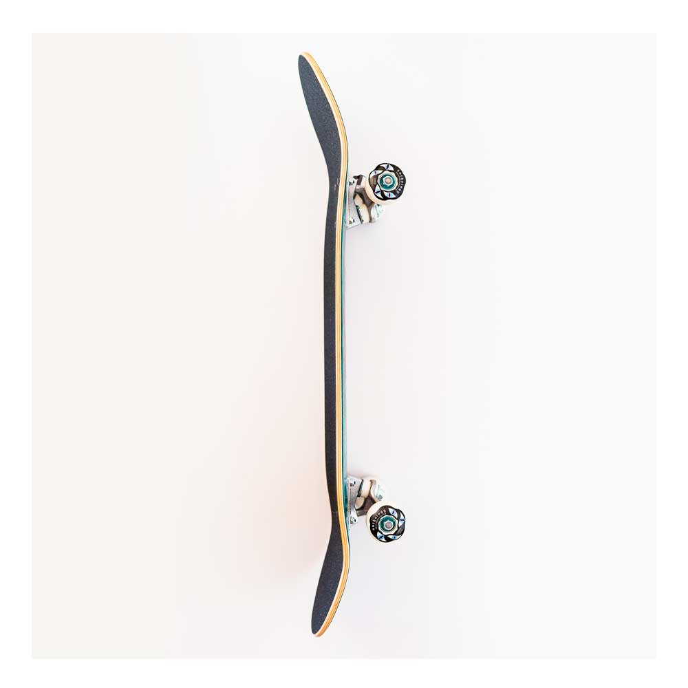 Skateboard anthology con diseño de puma